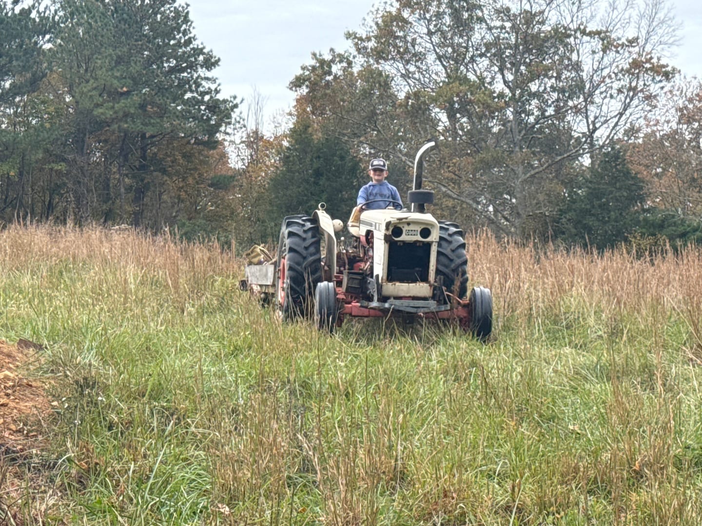 Bush-hogging tall grass on an old tractor at the edge of the tree line