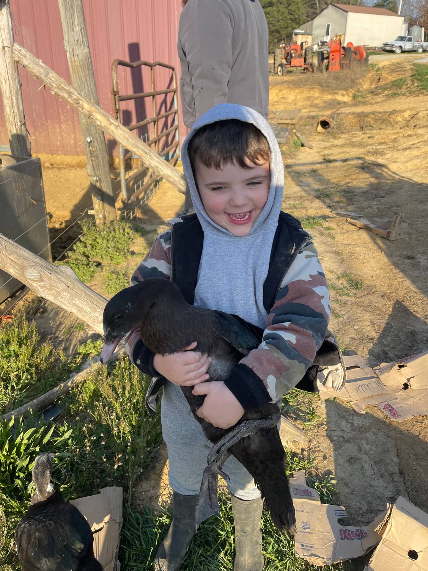 Our little boy grinning as he carries one of the ducks across the barn lot